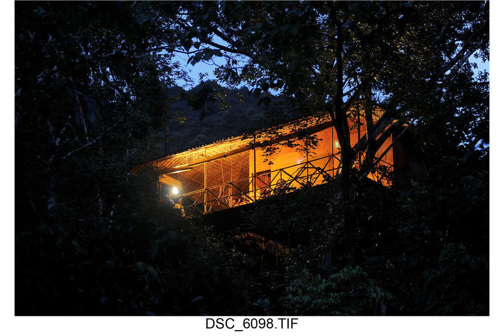 Regular Tree House